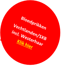 Button Vechtlanden SXB inclusief Westerhaar